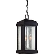 Quoizel Trumbull 3 Light 9 Inch Outdoor Hanging Light in Mystic Black