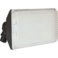 Led Flood LED Outdoor Flood in Black by AFX Lighting