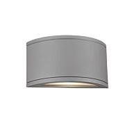 Tube 1-Light LED Wall Light in Graphite