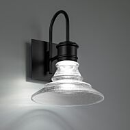 Nantucket 1-Light LED Outdoor Wall Light in Black