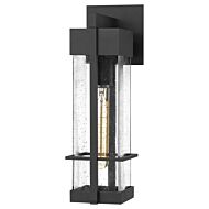 Wynn One Light Outdoor Wall Mount in Earth Black by Quoizel