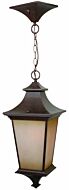 Craftmade Argent 24" Outdoor Hanging Light in Aged Bronze Textured