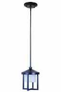 Craftmade Alta 9" Outdoor Hanging Light in Midnight