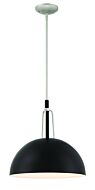 Craftmade Kahn 1-Light Outdoor Pendant in Midnight with Satin Aluminum