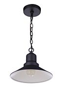 Craftmade Singleton 1-Light Outdoor Pendant in Midnight