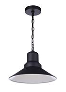 Craftmade Singleton 1-Light Outdoor Pendant in Midnight