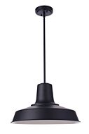 Craftmade Briscoe 1-Light Outdoor Pendant in Midnight